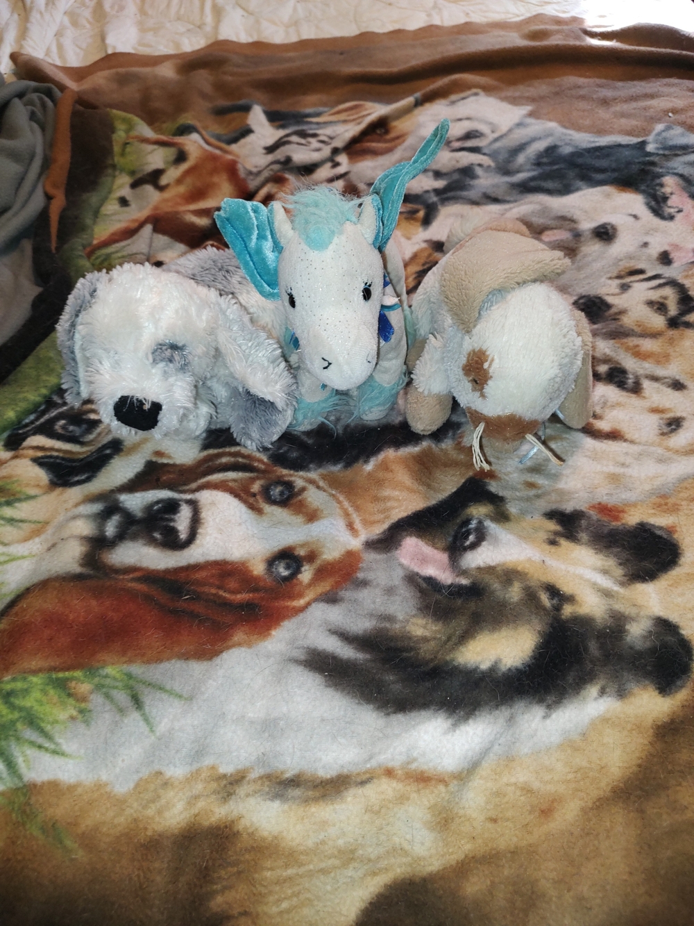 Webkinz Plush Trio